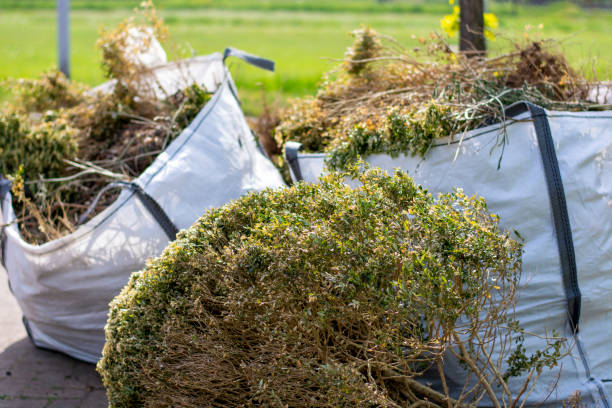Best Household Junk Removal  in Stevensville, MD